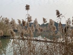 -沙家浜风景区