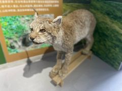 -青藏高原野生动物园