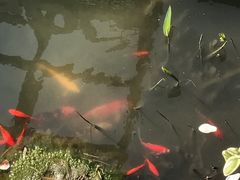 -活水公园