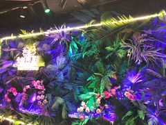 -南京时尚莱迪购物广场(正洪街店)