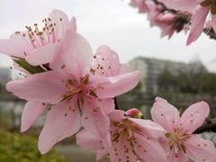 -江南大学(蠡湖校区)