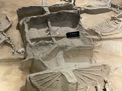 -洛阳周王城天子驾六博物馆