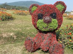 -苏州太湖西山岛开心农场