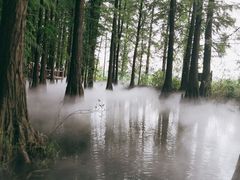 -东湖落雁景区