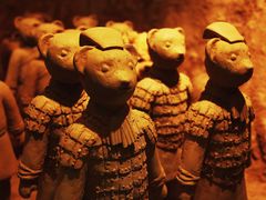 -济州岛泰迪熊博物馆