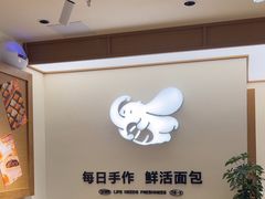 -小飞象面包公社(珠江路金鹰店)