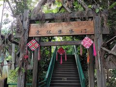 -西双版纳原始森林公园