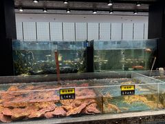 -龙宴海鲜城(经中路店)