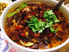 -铁公鸡·四川料理(天环广场店)