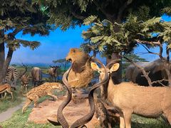 -国家自然博物馆