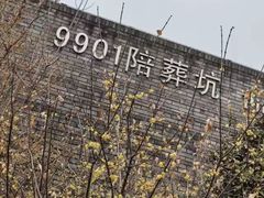 -秦始皇帝陵博物院-丽山园