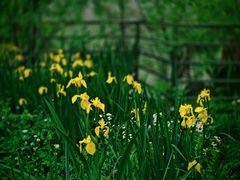 -苏州河梦清园环保主题公园