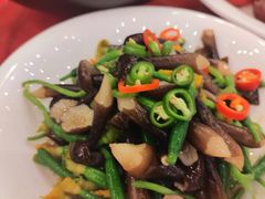 -同里湖度假村(二期店)
