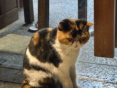 -谷咖啡·鲜花绿植花园餐厅