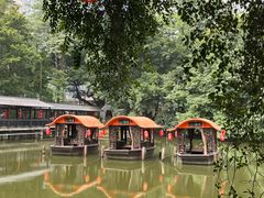 -侨美·唐荔园·40年地道粤菜