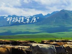 -新疆那拉提国家旅游度假区