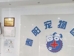 -暖阳宠物医院·犬猫康复中心·骨科