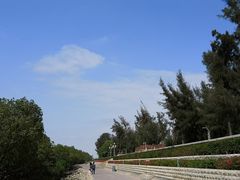 -宝安西湾红树林湿地公园