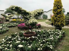 -都江堰玫瑰花溪谷