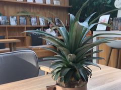 -十一咖啡(青年大街工厂店)
