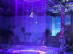 -华夏文旅海洋公园