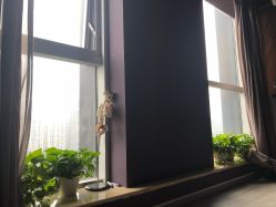 -花隐瑜伽·普拉提·红绳