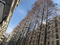 -南京大学游泳馆