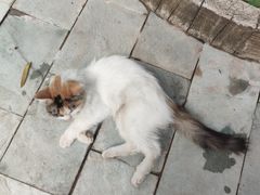 -龙达温泉生态城