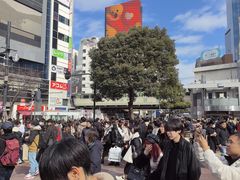 -涩谷全向十字路口