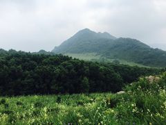 -白草畔自然风景区