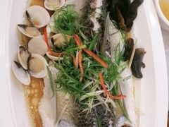 -鹭园酒家·四十年老字号