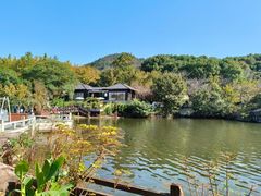 -白马涧龙池景区