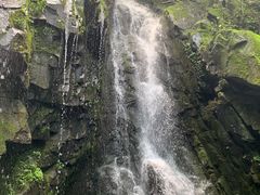 -藏龙百瀑风景区