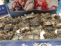 -丰卓会海鲜自助(中润大道店)
