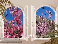 -北京凤凰岭
