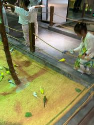 -酷嗒动物文化乐园(cutezoo西溪乐天城店)