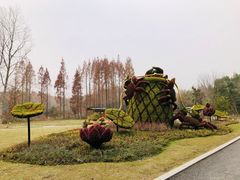-东平国家森林公园