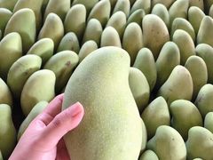 -麦当劳(三亚凤凰机场店)