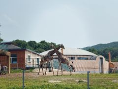 -哈尔滨北方森林动物园