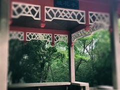 -菊花台公园