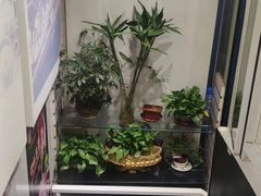 -潮汕牛肉火锅