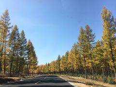 -塞罕坝国家级自然保护区