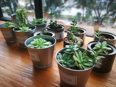 -漫慢里艺术体验馆·绘画调香手工DIY