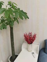 -萱草产后康复催乳中心(江宁万达店)