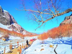 -北极村旅游风景区