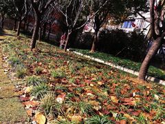 -建国328 本帮小馆·面馆