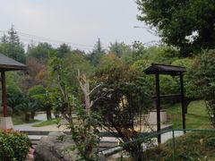 -咸宁万豪温泉谷度假区