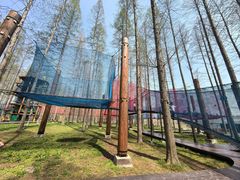 -黄海国家森林公园