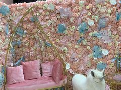 -Dazzling Cafe 蜜糖吐司专卖店