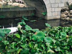 -莲湖公园